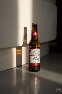 Alfie - Paul-Etienne0114