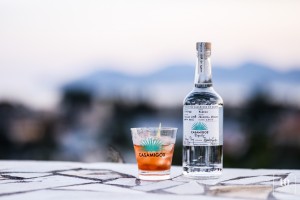 Maison.Villevart.Cannes.20230016