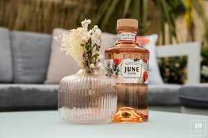 JUNE.G'Vine .Party at.MademoiselleMouche.tendaysinparis.0010