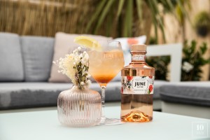 JUNE.G'Vine .Party at.MademoiselleMouche.tendaysinparis.0017