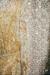 Georges Hobeika AW 20