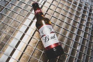 LA_SIRA_CATASTROPHE_NUIT_BLANCHE0047