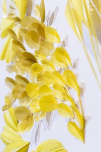 10TH ANNIVERSARY OF ATELIER JANAÏNA MILHEIRO 0068