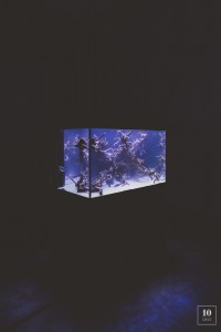 MICHELSON ULYSSE - ODDITY - ALEK KATAR -