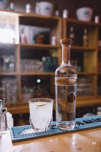 Nomade - Le procès du chien - alek katar-21