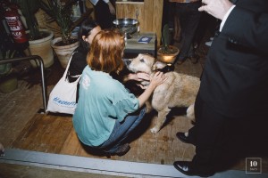 Nomade - Le procès du chien - alek katar-33