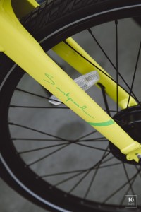 Ashpool x lime - Alek Katar-8