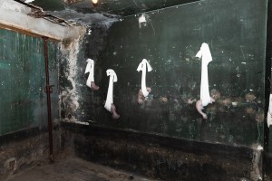 ten-days-lepeuve-septemmbre-2024-@paulfogiel-8